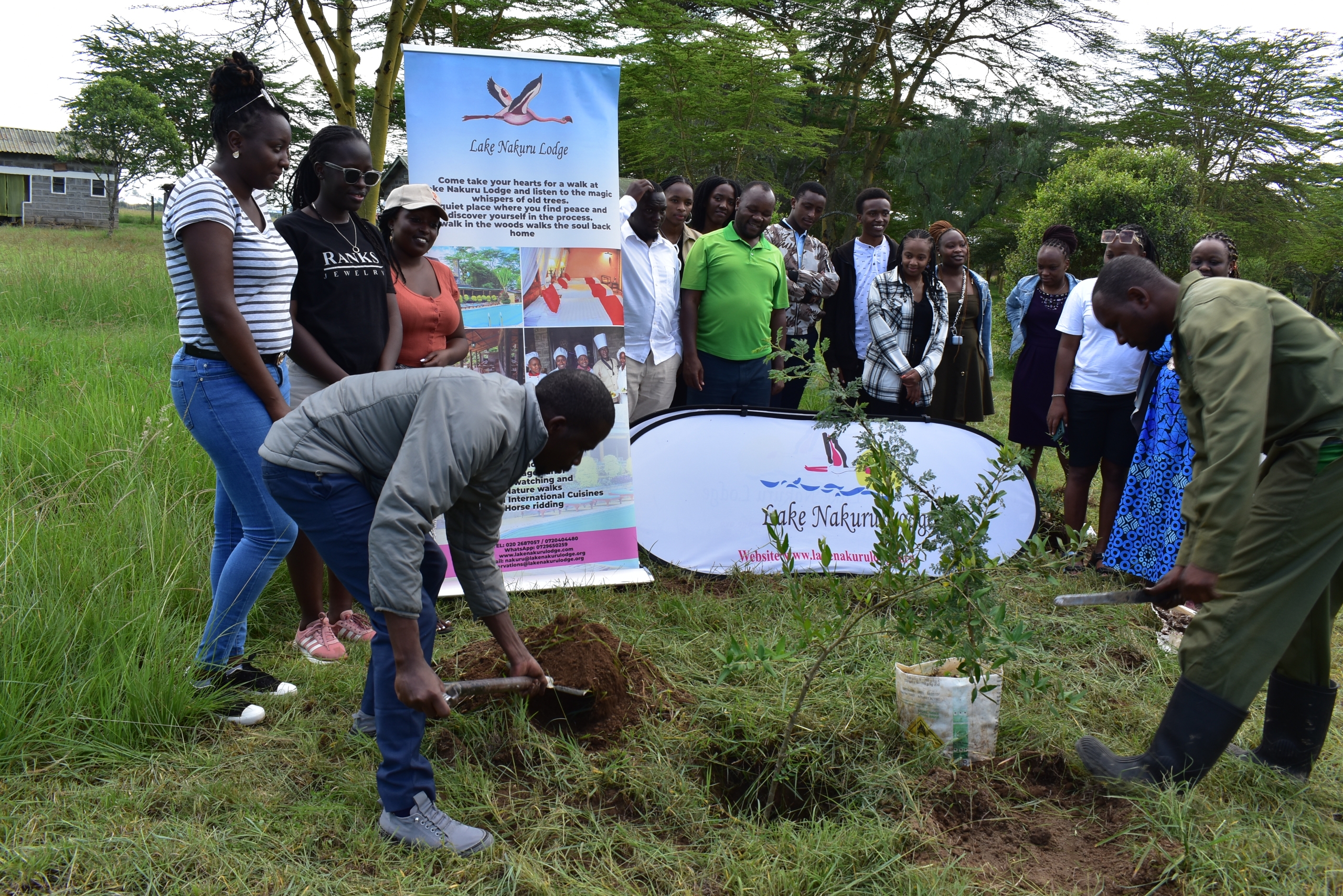 tree planting1