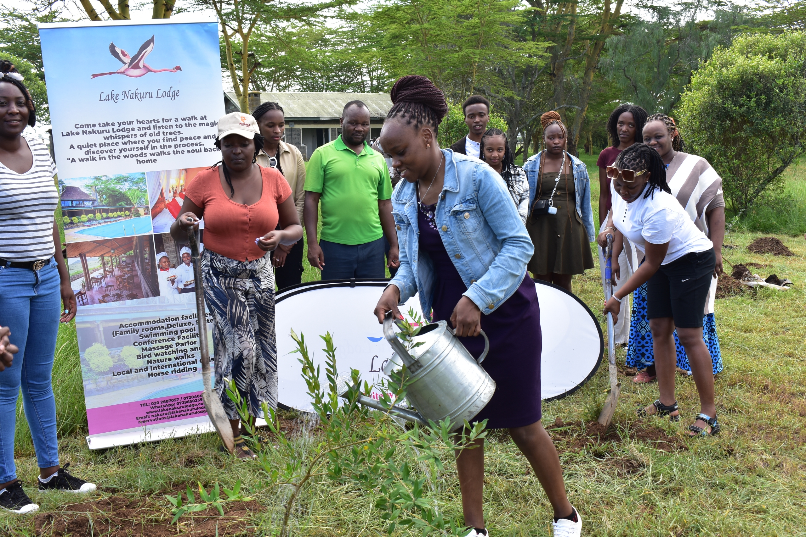 treeplanting5