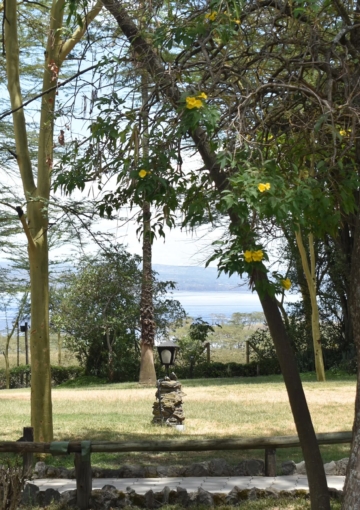Lake Nakuru Lodge - Garden View