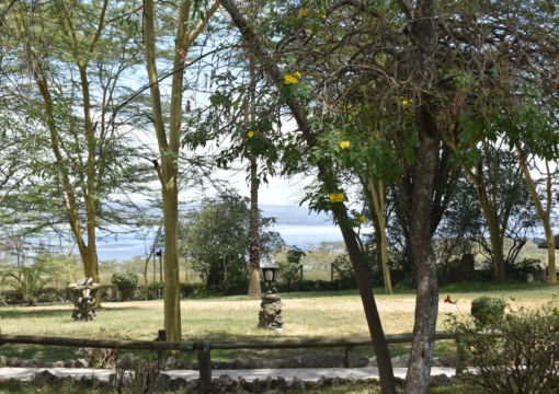 Lake Nakuru Lodge - Garden View