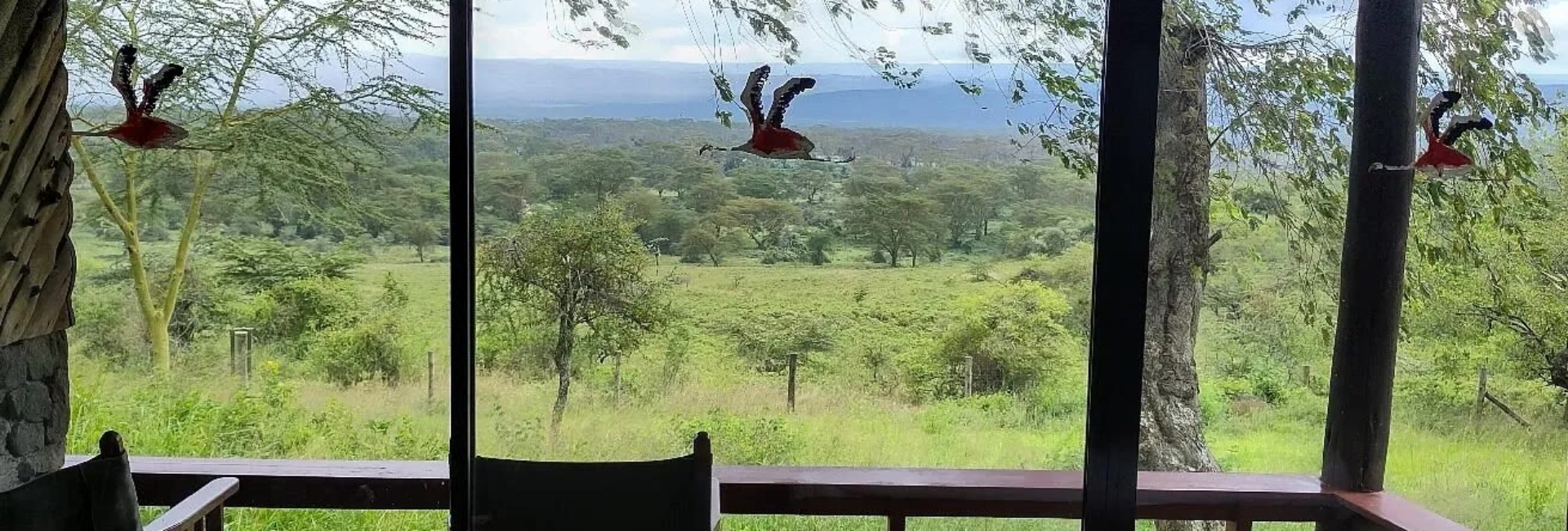 Mau View