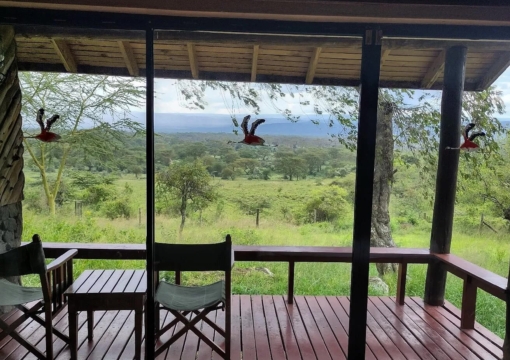 Lake Nakuru Lodge - Mau View