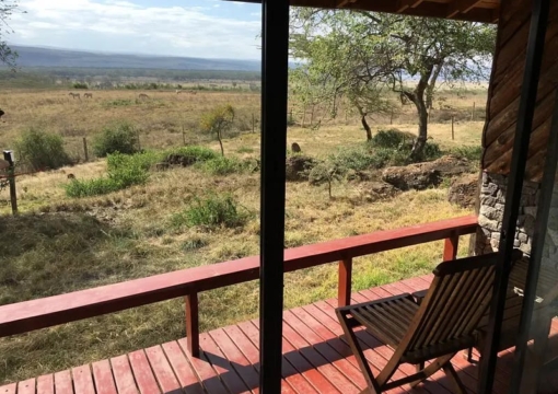 Lake Nakuru Lodge - Junior Suite