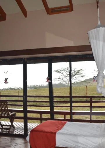 Lake Nakuru Lodge - Junior Suite