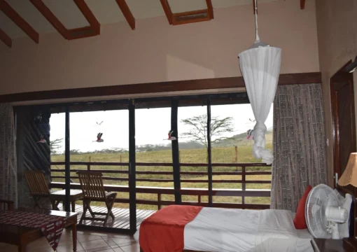 Lake Nakuru Lodge - Junior Suite