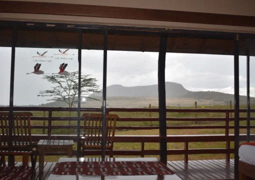 Lake Nakuru Lodge - Junior Suite